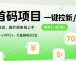 首码暴利拉新项目揭秘 新手日赚5000+的终极躺赚攻略 批量操作月入10万实战教程