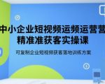 中小企业短视频运营爆单秘籍：3天学会精准获客实战技巧，90%企业都在用的流量变现方案