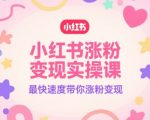 小红书涨粉变现秘籍：7天速成指南！零基础也能月入过万的终极教程