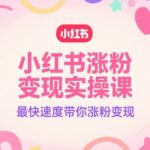 小红书涨粉变现秘籍：7天速成指南！零基础也能月入过万的终极教程