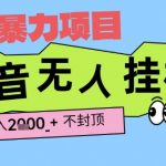 2025抖音暴力挂机暴利项目 单号日赚2000+ 新手当天见效 长期稳定赚钱秘籍大公开