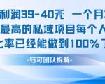 2025年最暴利私域项目揭秘：单笔稳赚40元 月入7K+ 100%转化率实战攻略