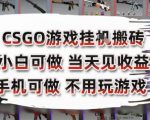 CSGO搬砖暴利项目揭秘 手机操作日赚300+ 零基础小白轻松上手 无需电脑躺着赚钱