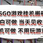 CSGO搬砖暴利项目揭秘 手机操作日赚300+ 零基础小白轻松上手 无需电脑躺着赚钱