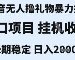 抖音无人撸金暴利技术！1小时狂赚2000+ 新手当天见效 官方不封号内幕大公开