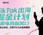 TIKTOK全球爆单秘籍：3步抢占兴趣电商万亿蓝海，新手也能日销10000+