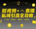 短视频直播私域引流终极秘籍：3步打造爆款IP，10倍提升流量转化，私域变现全攻略