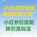小红书引流矩阵陪跑第三期：7天引爆流量，手把手教你打造月入10万+的引流秘籍！