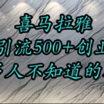 喜马拉雅创业粉暴增秘籍：日引500+精准流量的小众黄金赛道