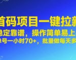 首码暴利项目揭秘 一键拉新日赚千元 单号70+批量操作稳赚不赔 新手小白轻松上手攻略