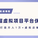 虚拟项目赚钱秘籍：新手7天速成指南，月入1W+实战攻略大公开