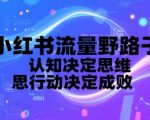 小红书流量暴涨秘籍：3天破万粉的野路子思维，90%人不知道的底层逻辑