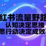 小红书流量暴涨秘籍：3天破万粉的野路子思维，90%人不知道的底层逻辑