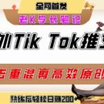 海外TIKTOK小说推文暴利项目：新手日赚500+，高转化高停留，轻松实现躺赚！