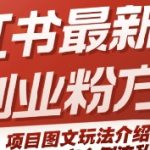 小红书暴力引流创业粉秘籍：3天涨粉1000+的图文玩法大揭秘，安全倒流私域实操指南