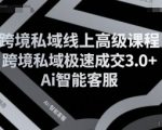 跨境私域极速成交3.0：AI智能客服+高级课程揭秘，跨境卖家必学的暴单秘籍