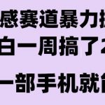 情感暴力掘金项目大揭秘：新手7天狂赚2万+ 零门槛长期稳定副业攻略