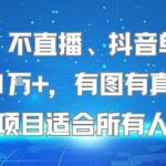 抖音暴利项目揭秘：不露脸不直播，单条视频日赚1W+！新手小白也能轻松上手