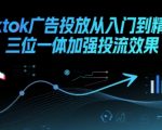 TikTok广告投放终极指南：零基础速成高手技巧，流量暴涨300%的实战秘籍