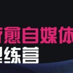 2025疗愈领域自媒体IP变现终极指南：零基础打造爆款疗愈账号，快速实现月入6位数