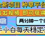 3个惊人技巧！新手日赚300+的种草平台秘密大公开，转发视频躺着赚钱