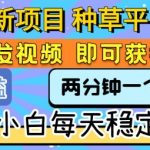 3个惊人技巧！新手日赚300+的种草平台秘密大公开，转发视频躺着赚钱