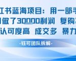 小红书蓝海项目轻松日赚1000+！新手无脑操作单月3W收益揭秘，99%用户疯狂抢购