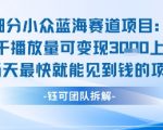 2024最新小众蓝海暴利项目：新手当天轻松变现1K+ 长期稳定收益秘籍大公开