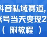 抖音私域变现新风口：单号日赚2880+的蓝海赛道实操全攻略（附独家引流技巧）