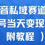 抖音私域变现新风口：单号日赚2880+的蓝海赛道实操全攻略（附独家引流技巧）