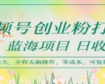 10个视频号创业粉暴利技巧：日赚1000+的蓝海项目揭秘，手把手教你无脑复制！