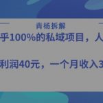 2025年最暴利私域项目：单笔净赚50米，新手7天速成月入1W+秘籍