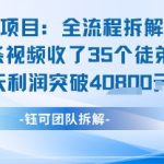 AI收徒暴利项目：1条视频狂收35名学员，日赚1000+完整教程揭秘