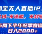 2025淘宝无人直播终极秘籍！独家防封技术引爆下半年旺季，日赚3000+轻松躺赚