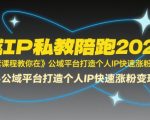 2025年最火全域IP私教陪跑课程：7天引爆公域流量，个人IP涨粉变现秘籍大公开