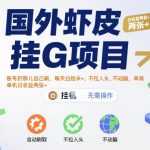 国外虾皮全自动挂G项目：躺着赚美金，单机日入200+，0门槛0风险，官方打款秒到账【2025最新玩法】
