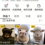 抖音65W粉丝博主亲授：AI萌宠变现新风口！0基础速成原创+二创爆款课（含全套提示词秘籍）