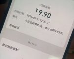 爆赚揭秘！二次元男粉私域变现神操作，虚拟产品日入过万攻略