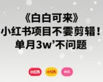 2025最新小红书零门槛副业！无需剪辑，手机月入3万+🔥小白暴富指南