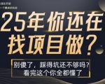 2025年创业必看！10大暴利项目骗局曝光！月入10万+的真相竟藏在这份避坑指南里【揭秘】
