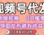 视频号代发日赚1000+！0基础手机操作，无剪辑零粉丝要求，任务无限当日提现【限时领取通道】