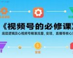 视频号精准流量与变现实战秘籍：2025最新底层逻辑解析（直播+SEO核心）