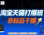 淘宝天猫非标品流量暴涨秘籍！第72期终极版SEO优化技术