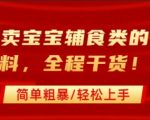 小红书宝宝辅食虚拟资料：引流私域变现，日入1000+零基础爆款教程！