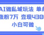 AI私域流量爆款秘籍：单条视频狂吸7万粉，轻松变现4300元，新手零基础速成！
