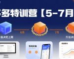 多多特训营2025终极秘籍：突破产品上限+优化方法下限，5大爆款玩法技巧实操速成！