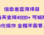 暴利信息差蓝海项目当天急速变现多张矩阵自动化操作全程零人工