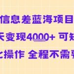 暴利信息差蓝海项目当天急速变现多张矩阵自动化操作全程零人工