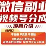 微信视频号分成计划！不直播不卖货不露脸，0门槛手机操作，三五分钟一条作品，日入100+可提现！[[1][2][5][6]