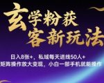 玄学引流爆款玩法：日赚800+，私域日增50人，矩阵放大狂变现，手机轻松躺赚！